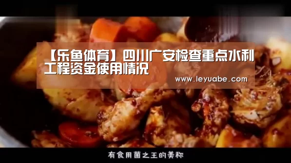 乐鱼体育