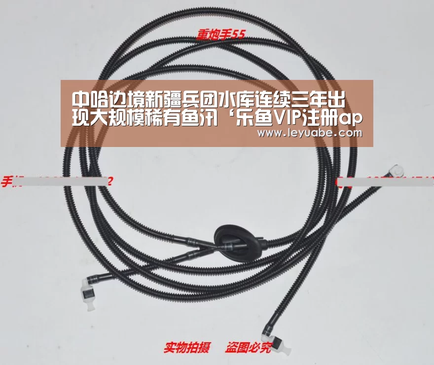 登录入口