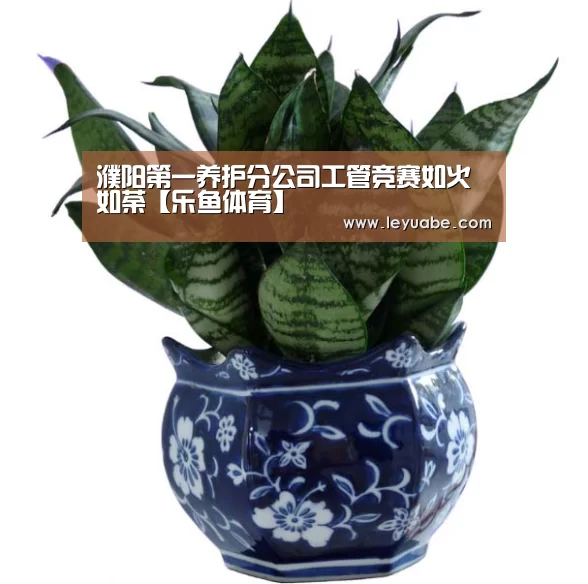 乐鱼VIP注册app下载